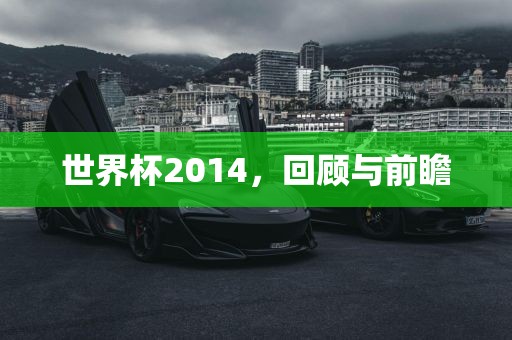 世界杯2014，回顾与前瞻