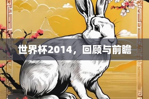 世界杯2014，回顾与前瞻