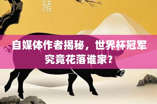 自媒体作者揭秘，世界杯冠军究竟花落谁家？金炬实业股份有限公司