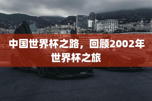 中国世界杯之路，回顾2002年世界杯之旅