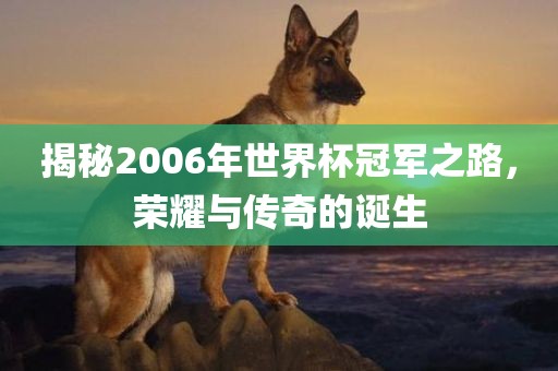 揭秘2006年世界杯冠军之路，荣耀与传奇的诞生