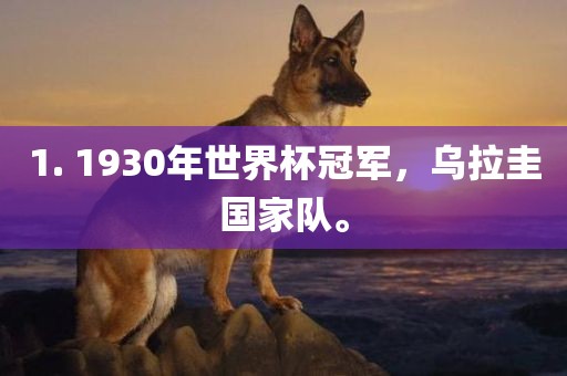 1. 1930年世界杯冠军，乌拉圭国家队。