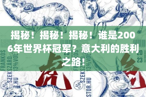 揭秘！揭秘！揭秘！谁是2006年世界杯冠军？意大利的胜利之路！