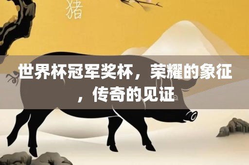 世界杯冠军奖杯，荣耀的象征，传奇的见证