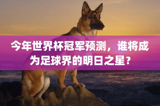 今年世界杯冠军预测，谁将成为足球界的明日之星？