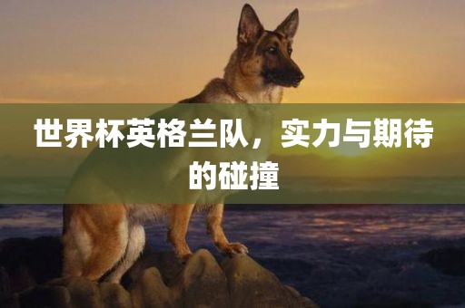 世界杯英格兰队，实力与期待的碰撞金炬实业股份有限公司