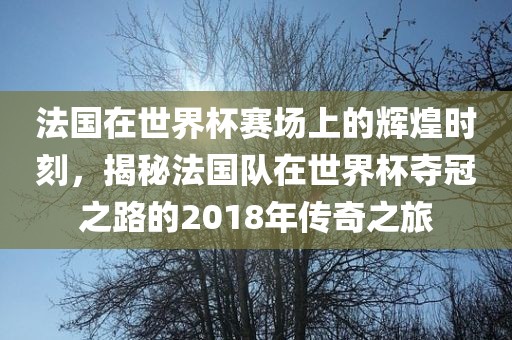 法国在世界杯赛场上的辉煌时刻，揭秘法国队在世界杯夺冠之路的2018年传奇之旅金炬实业股份有限公司