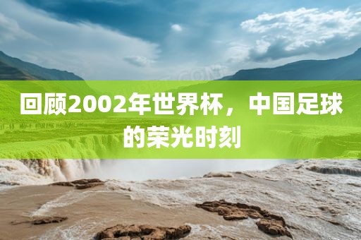 回顾2002年世界杯，中国足球的荣光时刻金炬实业股份有限公司