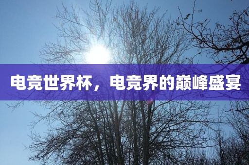 电竞世界杯，电竞界的巅峰盛宴