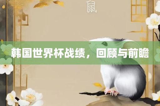 韩国世界杯战绩，回顾与前瞻金炬实业股份有限公司