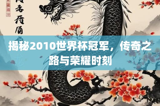揭秘2010世界杯冠军，传奇之路与荣耀时刻