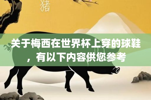 关于梅西在世界杯上穿的球鞋，有以下内容供您参考