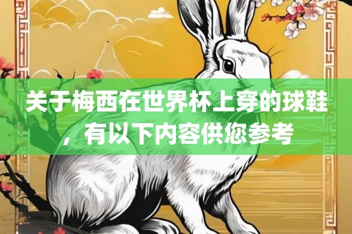 关于梅西在世界杯上穿的球鞋，有以下内容供您参考