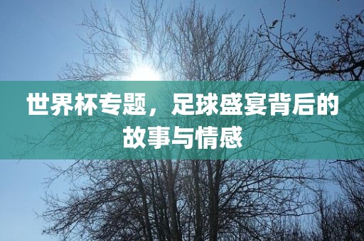 世界杯专题，足球盛宴背后的故事与情感