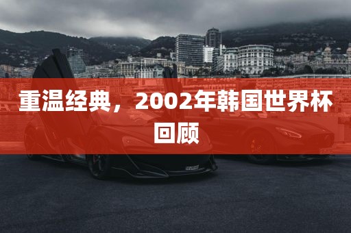 重温经典，2002年韩国世界杯回顾金炬实业股份有限公司