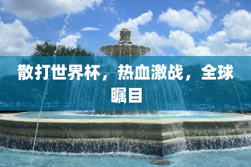 散打世界杯，热血激战，全球瞩目