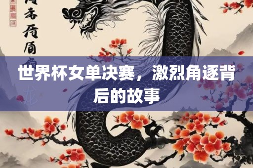 世界杯女单决赛，激烈角逐背后的故事