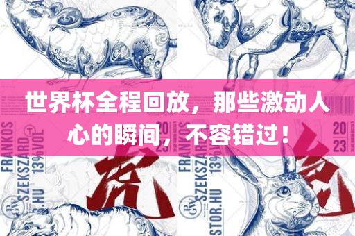 世界杯全程回放，那些激动人心的瞬间，不容错过！