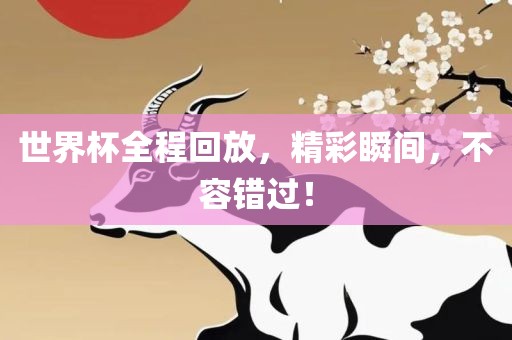 世界杯全程回放，精彩瞬间，不容错过！