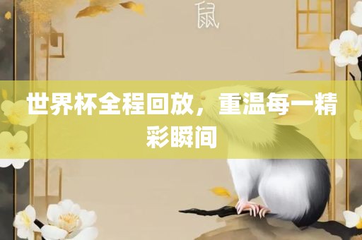 世界杯全程回放，重温每一精彩瞬间