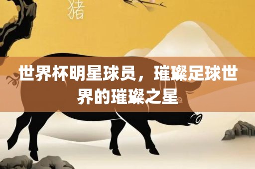 世界杯明星球员，璀璨足球世界的璀璨之星