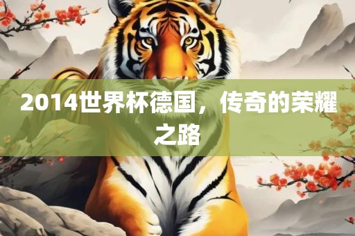 2014世界杯德国，传奇的荣耀之路