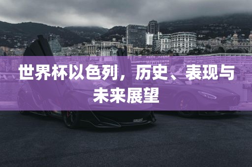世界杯以色列，历史、表现与未来展望金炬实业股份有限公司