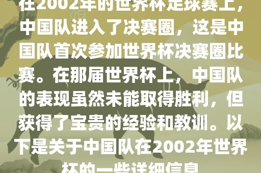 在2002年的世界杯足球赛上，中国队进入了决赛圈，这是中国队首次参加世界杯决赛圈比赛。在那届世界杯上，中国队的表现虽然未能取得胜利，但获得了宝贵的经验和教训。以下是关于中国队在2002年世界杯的一些详细信息