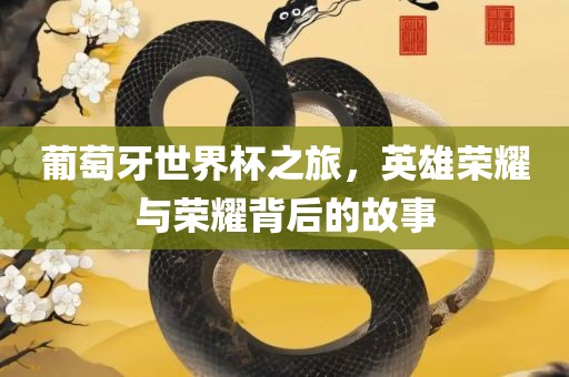 葡萄牙世界杯之旅，英雄荣耀与荣耀背后的故事