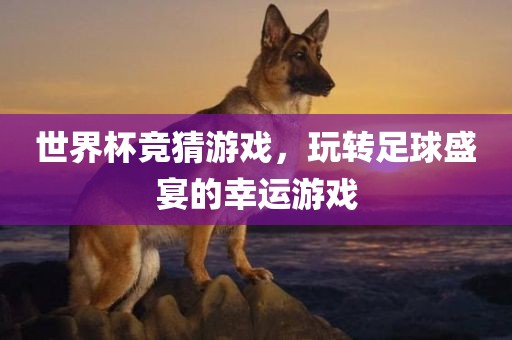 世界杯竞猜游戏，玩转足球盛宴的幸运游戏