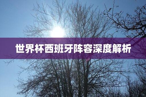 世界杯西班牙阵容深度解析