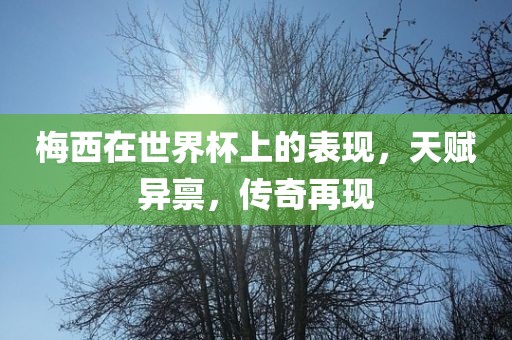 梅西在世界杯上的表现，天赋异禀，传奇再现