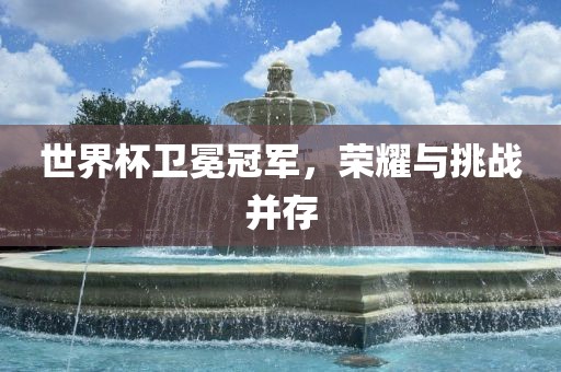 世界杯卫冕冠军，荣耀与挑战并存