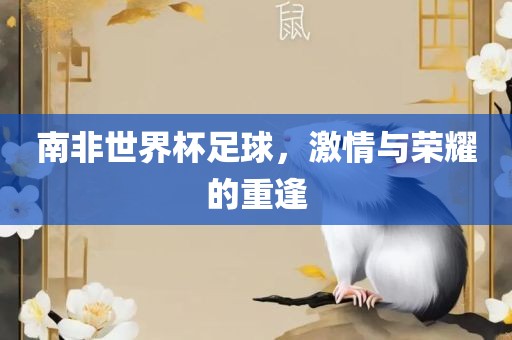 南非世界杯足球，激情与荣耀的重逢