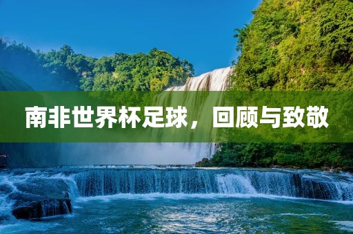 南非世界杯足球，回顾与致敬