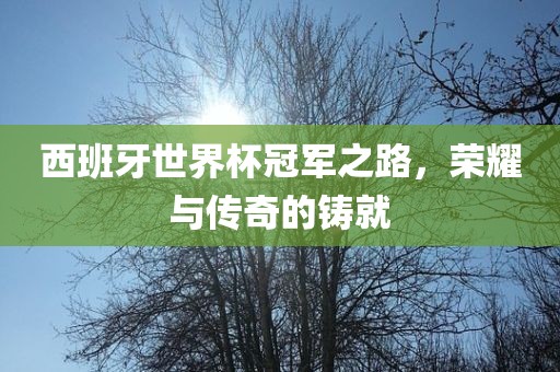 西班牙世界杯冠军之路，荣耀与传奇的铸就金炬实业股份有限公司