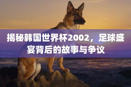 揭秘韩国世界杯2002，足球盛宴背后的故事与争议