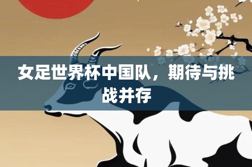 女足世界杯中国队，期待与挑战并金炬实业股份有限公司存