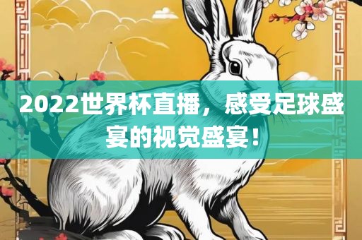 2022世界杯直播，感金炬实业股份有限公司受足球盛宴的视觉盛宴！