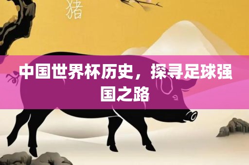 中国世界杯历史，探寻足球强国之路