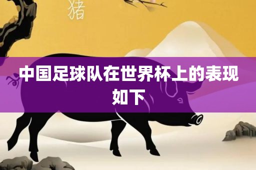中国足球队在世界杯上的表现如下金炬实业股份有限公司