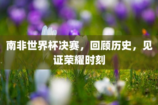 南非世界杯决赛，回顾历史，见证荣耀时刻