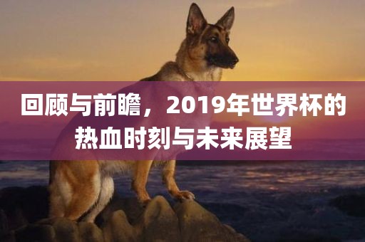 回顾与前瞻，2019年世界杯的热血时刻与未来展望金炬实业股份有限公司