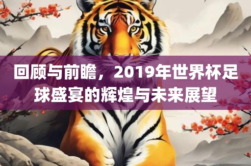 回顾与前瞻，2019年世界杯足球盛宴的辉煌与未来展望金炬实业股份有限公司