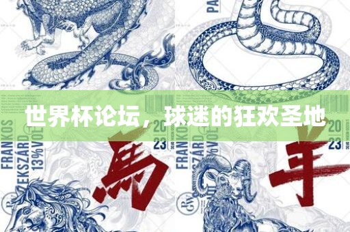 世界杯论坛，球迷的狂欢圣地