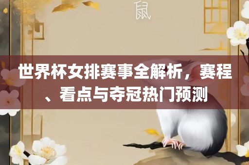 世界杯女排赛事全解析，赛程、看点与夺冠热门预测金炬实业股份有限公司