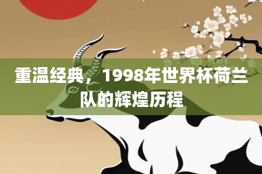重温经典，1998年世界杯荷兰队的辉煌历程