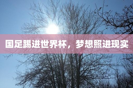 国足踢进世界杯，梦想照进现实