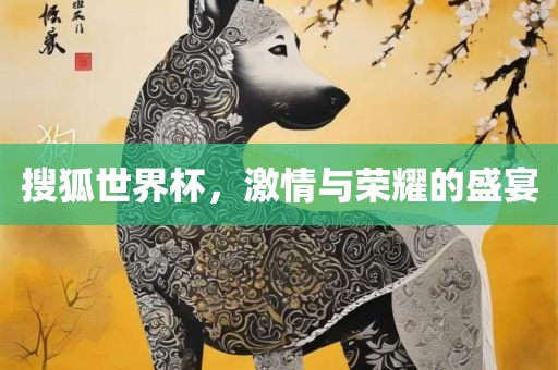 搜狐世界杯，激情与荣耀的盛宴