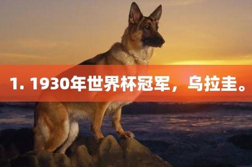 1. 1930年世界杯冠军，乌拉圭。